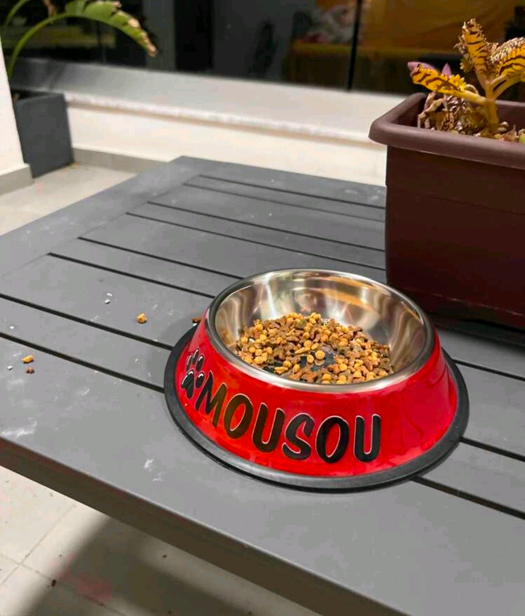 Personalised Pet Bowl – Custom Name Dog & Cat Food Bowl