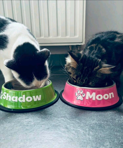 Personalised Pet Bowl – Custom Name Dog & Cat Food Bowl