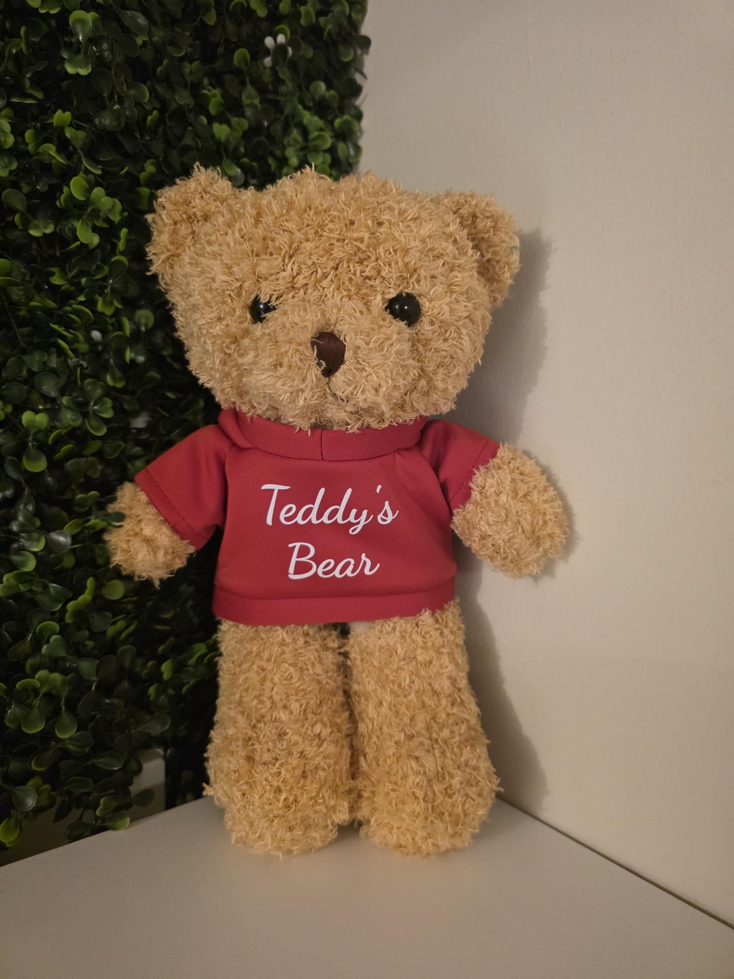 Personalised Teddy Bear with Custom Photo and Text