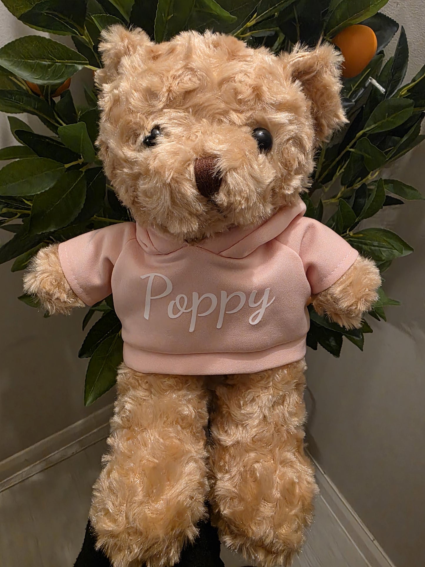 Personalised Teddy Bear with Custom Photo and Text