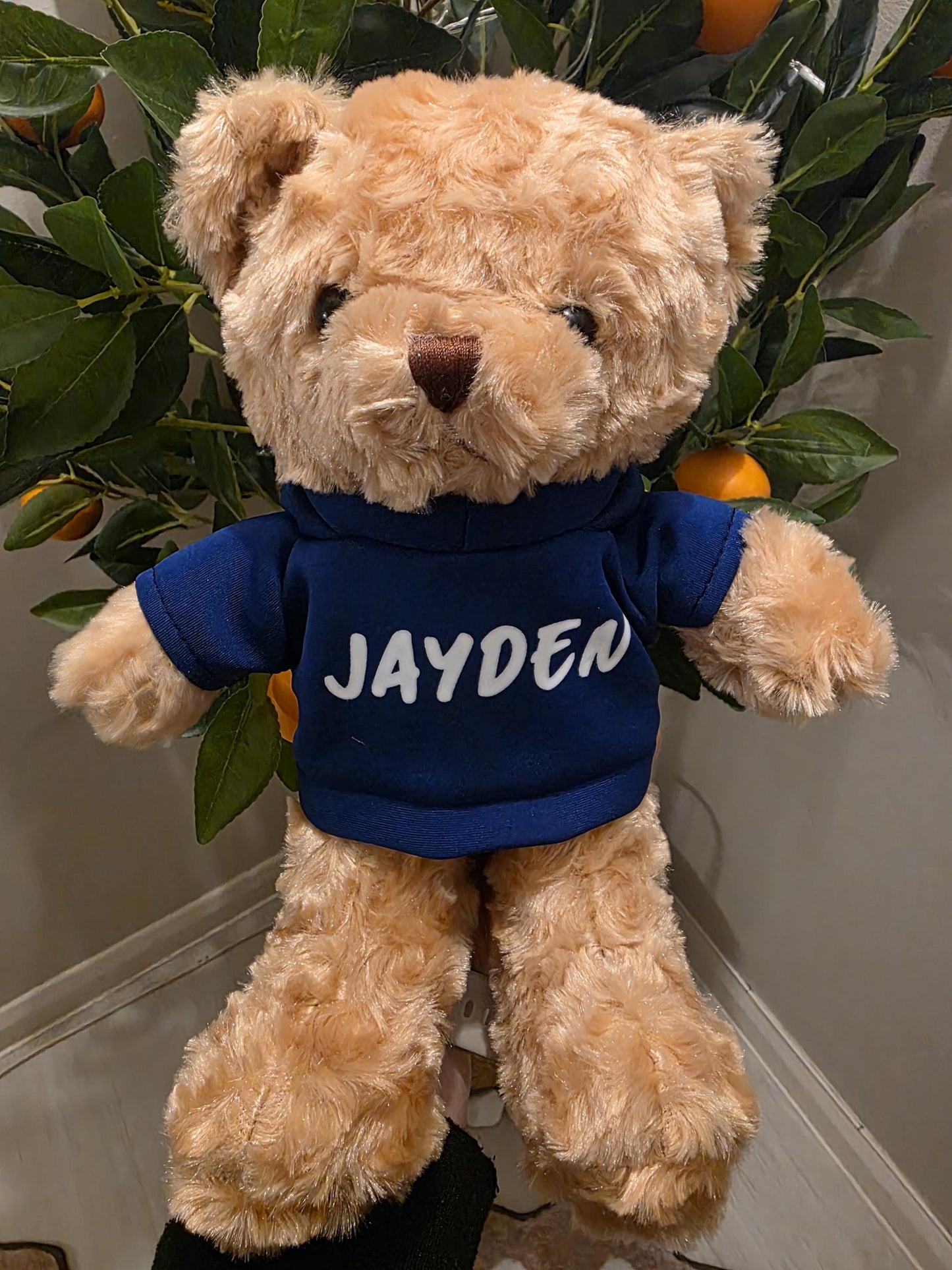 Personalised Teddy Bear with Custom Photo and Text