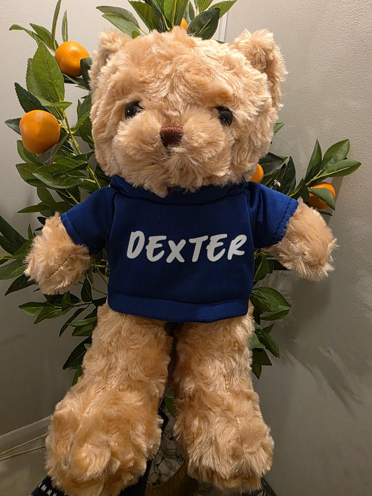 Personalised Teddy Bear with Custom Photo and Text
